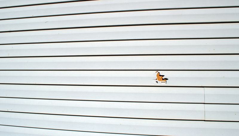 Siding Panel Removal