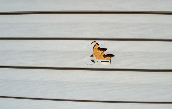 Cost of Siding Hole Patching in Colorado Springs